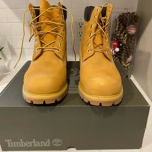 Men’s Timberland Waterproof Boot